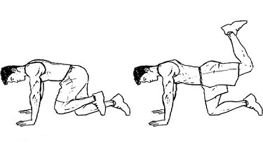 Donkey Kicks
