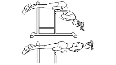 Back Extension