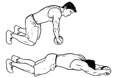 Ab wheel