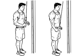 Bar and rope pushdown