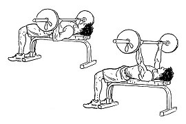 Bankdrukken - Barbell Bench Press
