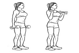 Biceps curl
