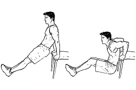 Bodyweight Tricep Dips