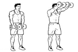 Front raise