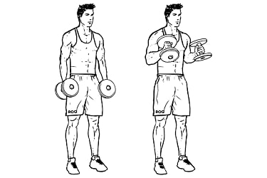 Hammer curl