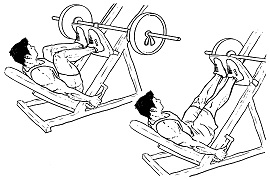 Leg Press