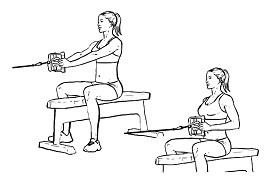 Seated Low Cable Back Rows
