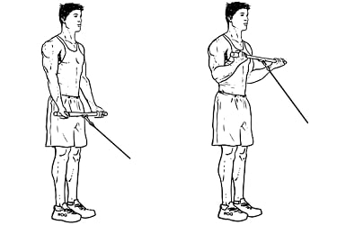 Standing cable curl