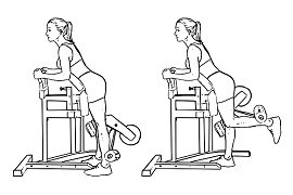 Standing Leg / Hamstring Curl