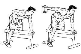 Tricep Kickback
