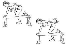 Triceps kickback
