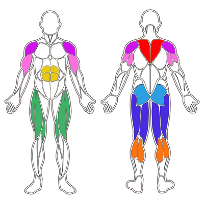 Spieren een crosstrainer